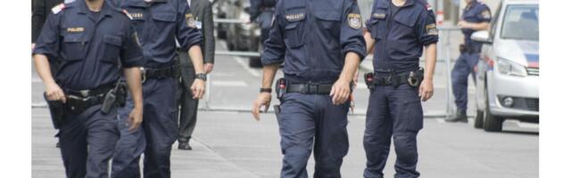 Državljanin BiH osuđen u Hrvatskoj: Pevao pesme Baje Malog Knindže i pred policijom