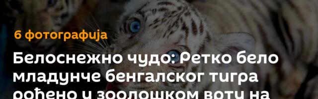 Белоснежно чудо: Ретко бело младунче бенгалског тигра рођено у зоолошком врту на Куби /фото/