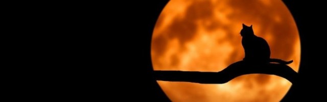 U SREDU JE PUN MAGIČNI MESEC! Sve probleme iz prošlosti MORAMO DA REŠIMO, sve što smo potisnuli "POGLEDAĆE  NAS U OČI"!