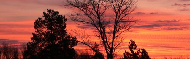 Evropska Sahara u Srbiji: Ledeno doba ju je stvorilo snagom prirode, a onda joj je vetar dodao nešto posebno