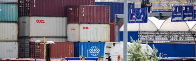 Холандска царина запленила 463 килограма кокаина у пошиљци манга за Мурдајк