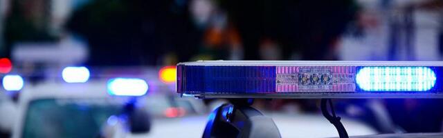 U Nemačkoj oluja oborila drvo na grupu žena i dece u igri traženja uskršnjih jaja, poginule tri osobe