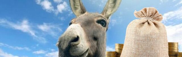 Kupili magarcu srećku, a ono - dobitak: Evo šta je posle bilo