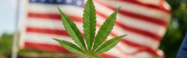 Istorijski zaokret u Americi: Medicinski kanabis skinut sa liste najstrože kontrolisanih droga