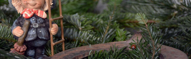 “Novogodišnji bazar” na pijaci “Zeleni venac”: Posetioci će uživati u duhu praznika i prijatnoj atmosferi