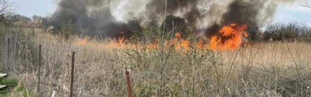 Buktinja gutala nisko rastinje u Kikindi, vatrogasci branili groblje od požara koja se munejvito širio