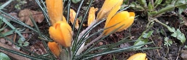 PRE PODNE SUNCE I OBLACI, POPODNE KIŠA