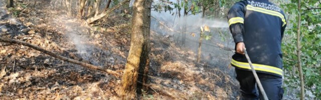Gori šuma kod Čačka: Požar preti da stigne do kuća, vatrogasci se satima bore sa vatrenom stihijom (FOTO)