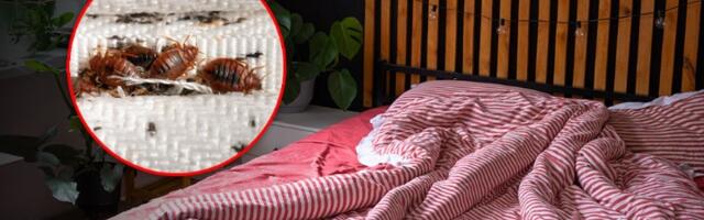 Nemojte posteljinu ove boje - legu se stenice!