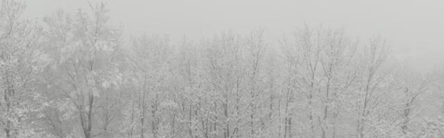 Sneg već pada u ovom delu Srbije! Temperatura drastično pada, hladni front samo što nije zahvatio celu zemlju!