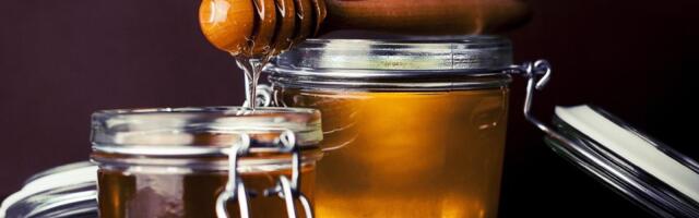 Treće SLAPP tužba protiv IN Medije zbog slučaja "Fruškogorski skočko": Moraju platiti još 161.300 dinara