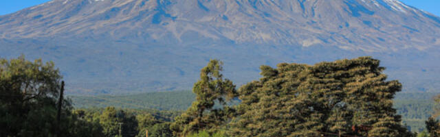 Петоро погинуло у паду хеликоптера на планини Килиманџаро