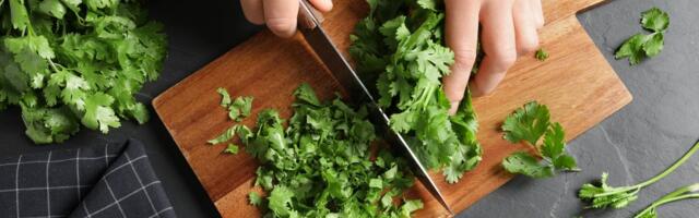 Ovo začinsko bilje gotovo uvek završava kao ukras na tanjiru, a zapravo krije brojne benefite za zdravlje srca