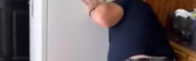 Vladica iza frižidera uhvatio ZMIJURINU: Da vam se krv sledi od prizora! Pogledajte šta drži u rukama! (VIDEO)