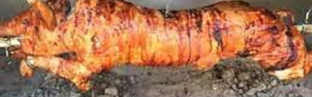 Gric, gric, rebarca: Može li pečenje tokom vrućina