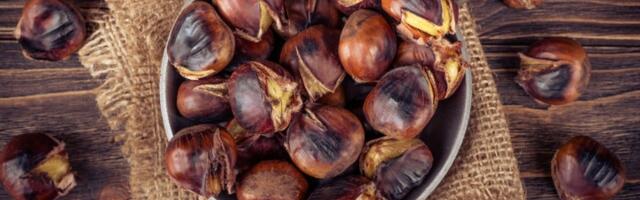 Ispecite savršen kesten u rerni