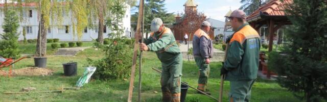 Vrati dah prirodi - posadi drvo: U Zavodu  Male Pčelice  posađeno 55 lišćarskih i četinarskih sadnica (FOTO)