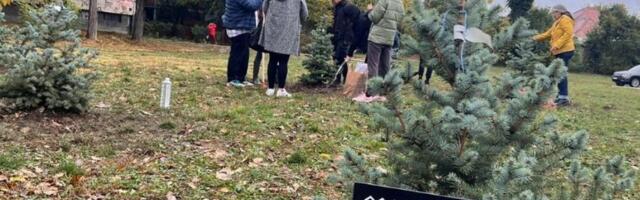 Destrukcija na Limanu: Išarane fasade i polomljene table sećanja na 16 žrtava