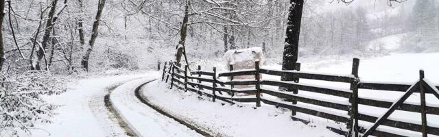 Dobro jutro iz Šumadije