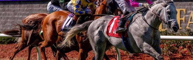 Šta je Saut Hermès? Modno-konjički spektakl u srcu Pariza