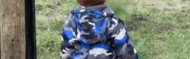 JEZIV SNIMAK OBIŠAO SVET! DEČAČIĆ JE GLEDAO ZVERI, A ONDA IM JE OKRENUO LEĐA: Jedna se u trenu zaletela ka njemu kada se najmanje nadao - LEDI KRV!