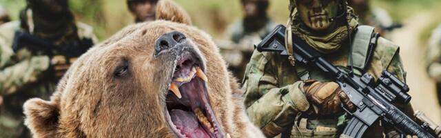 MEDVED RASTRGAO AMERIČKE VOJNIKE: Oglasili se nadležni zbog horora na Aljasci - zver je i dalje na slobodi!