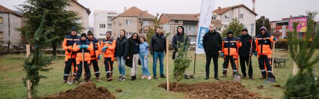 JYSK i Niš ponovo sade zajedno – sadnice javora, bora i himalajskog kedra za raznovrsniju i zdraviju okolinu