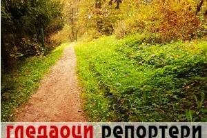 Гледаоци репортери (8. новембар 2022)