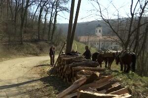 Извлачење дрва уз помоћ коња, на које се начине транспортују до купаца