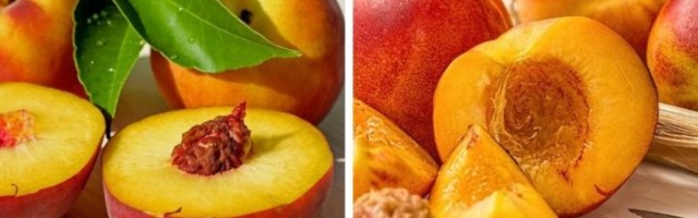 Znate li razliku između BRESKVE I NEKTARINE - OSIM U DLAČICAMA? Iznenadićete se!