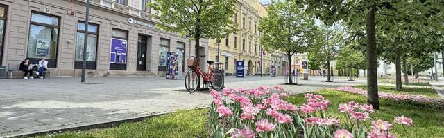 Upaljen crveni alarm: U Zrenjaninu narednih dana temperature i do 41 stepen