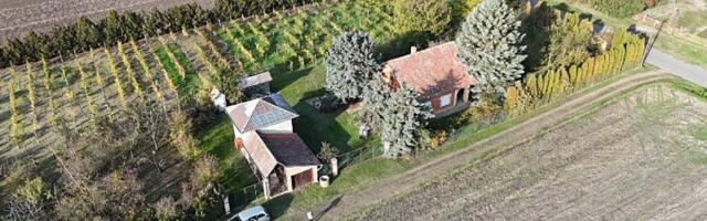 Rajski salaš u Bačkoj čeka nove vlasnike: Zemlja bez hemije, voćnjak i vinograd po ceni garaže u Beogradu