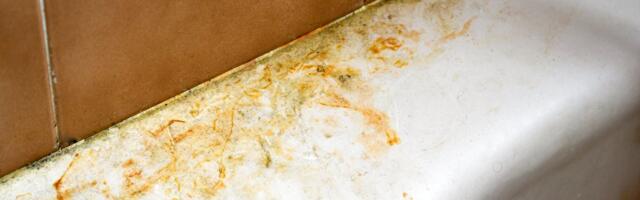 Zaboravite na skupu hemiju: Uz pomoć dva sastojka iz kuhinje vaša kada će sijati kao nova