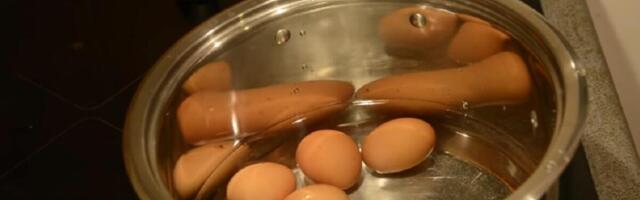 Koliko zapravo dugo smeju da se čuvaju sveža jaja u frižideru? Iznenadićete se