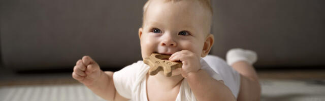 Ministarstvo zdravlja: Na srpskom tržištu nisu registovane Hipove kašice u kojima je pronađen otrov za pacove