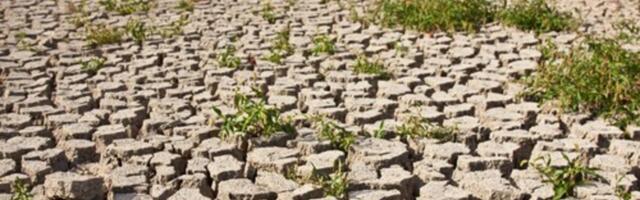 Globalno zagrevanje bi moglo da odnese više života od kovida: Stručnjaci izneli sumorne prognoze!