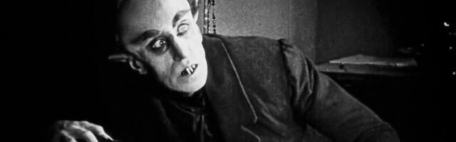 Nosferatu se širi po severu: Sve češće prijave viđenja otrovnog pauka u Nemačkoj