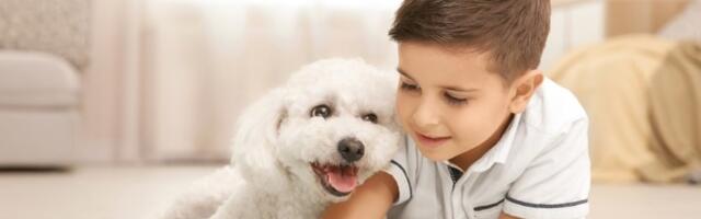 Prelepo i moćno muško ime tera zle sile, a jedno je od najpopularnijih u Srbiji