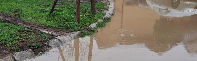 Stanari zgrade S7 u Dubočici: Otpad od podrezivanja drveća danima stoji, slivnici zapušeni, parking pod vodom