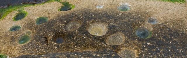 Otkrivena  staza dinosaurusa : Fosilizovani tragovi stari milionima godina otkrivaju tajne praistorijskog sveta