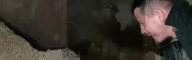 Naš pevač hrani ovce u Šumadiji, a u Beogradu sa ženom pokrenuo biznis: "Ona je direktor, a ja domar"