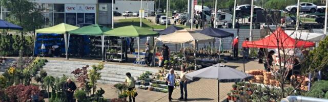 SAJAM HORTIKULTURE: Sve za dvorišta i bašte po SAJAMSKIM CENAMA (FOTO)