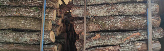 Prevozili drva službenim vozilom javnog preduzeća, policija ih oduzela