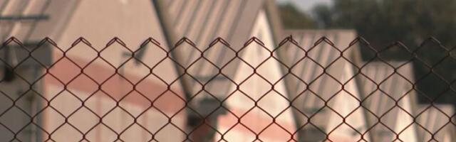 Opasna bolest životinja širi se u Hrvatskoj