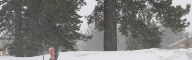 Свих девет жртава лавине извучено из снега на планини Сијера Невада у Калифорнији