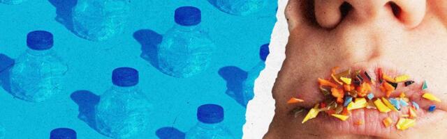 Pet izvora mikroplastike u našoj ishrani