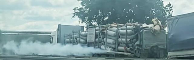 POSLE SUDARA 2 KAMIONA I CURENJA GASA JEDAN VOZAČ PREMINUO: Epilog teške saobraćajne nesreće kod Stare Pazove!
