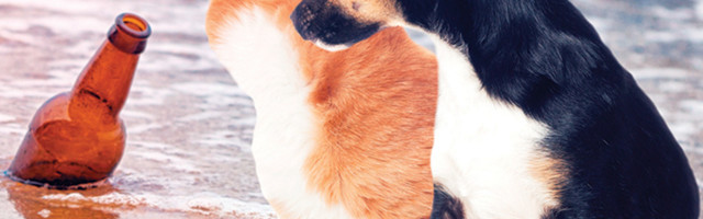 Evo šta se zapravo dogodilo u Hrvatskoj tokom najjačeg zemljotresa!