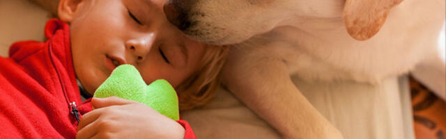 PAS JE PRIŠAO NEPOKRETNOM DEČAKU I ODMAH LEGAO PORED NJEGA: Roditelji su u neverici gledali šta se dešava, lekari nisu imali objašnjenje! (VIDEO)