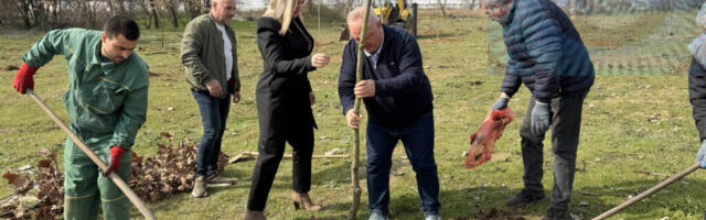 Cvetanović sadio drvce u Maloj Biljanici